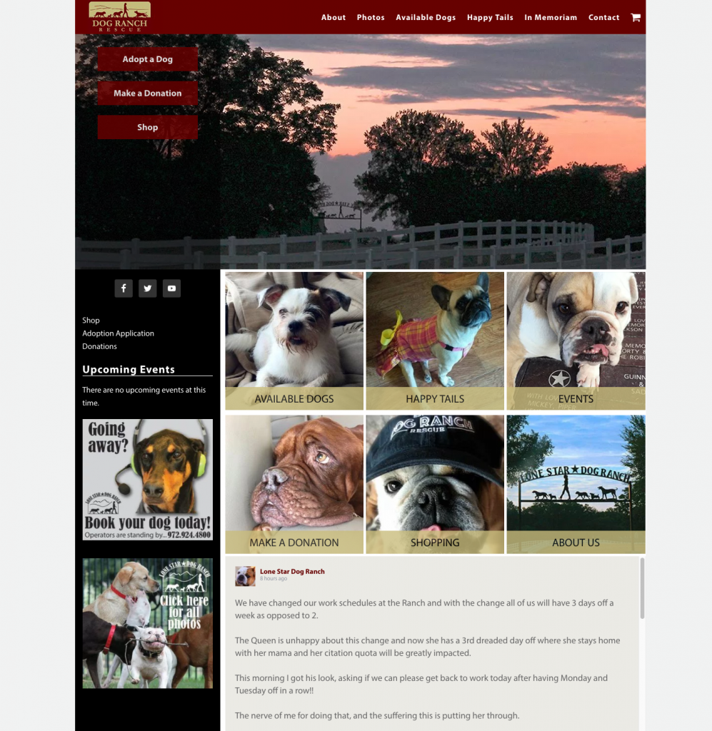 Dog Ranch Rescue