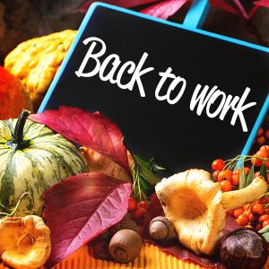 Back to work